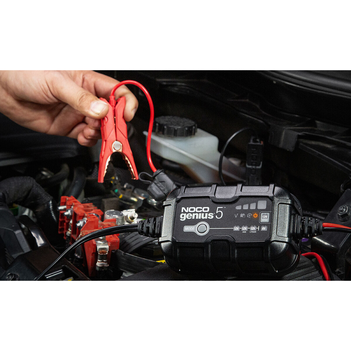 Black & Decker Maintenance Battery Chargers // Supercheap Auto 
