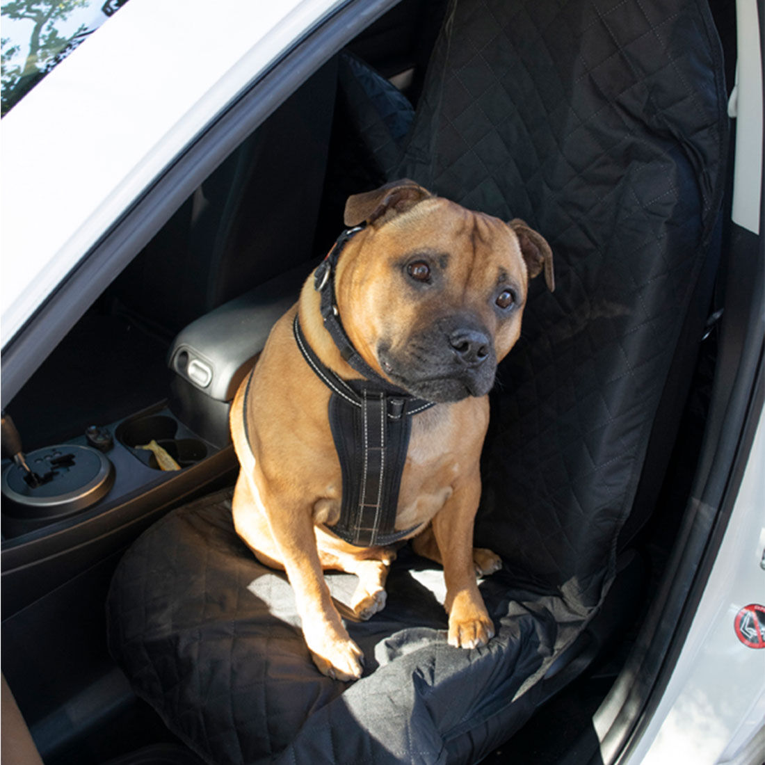 Cabin Crew Pets Single Front Seat Protector, , scaau_hi-res