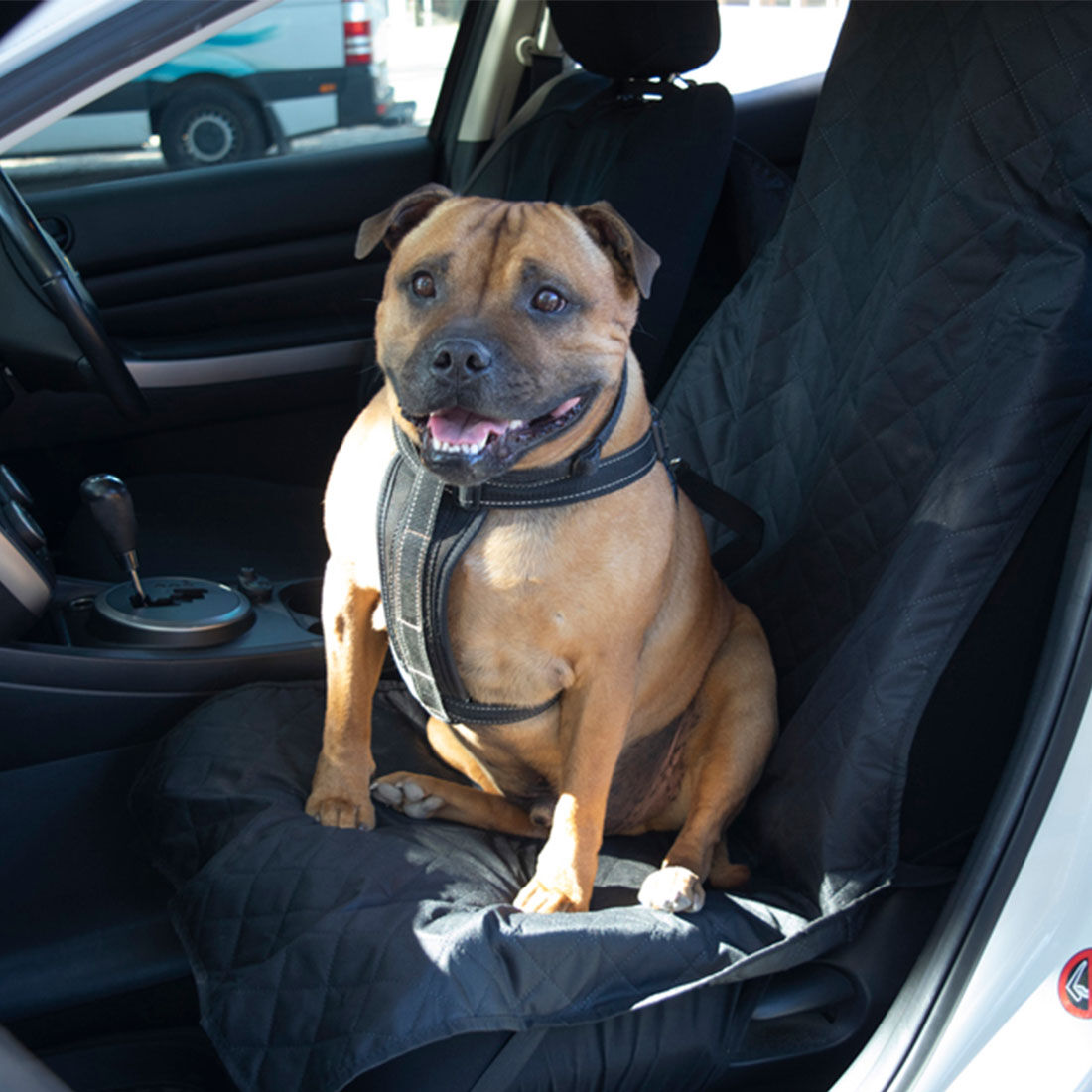 Cabin Crew Pets Single Front Seat Protector, , scaau_hi-res