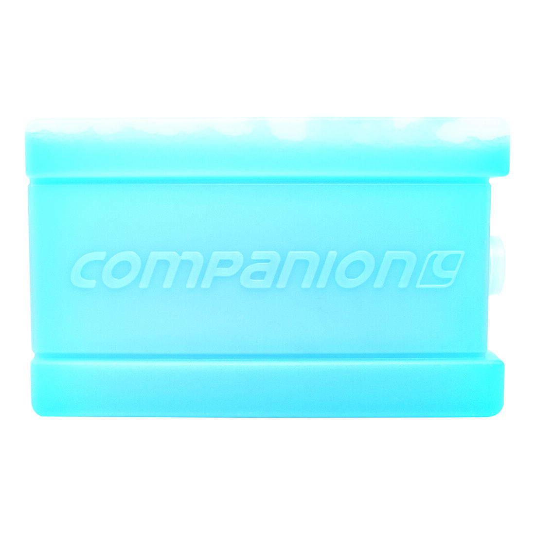 Companion Large 750ml Ice Brick, , scaau_hi-res